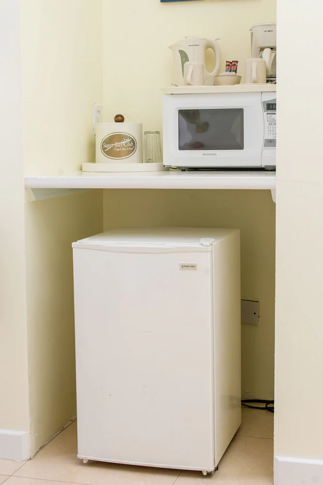Mini-refrigerator