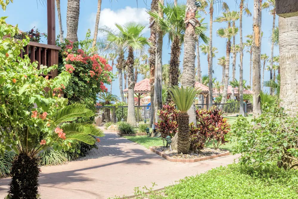 Garden view