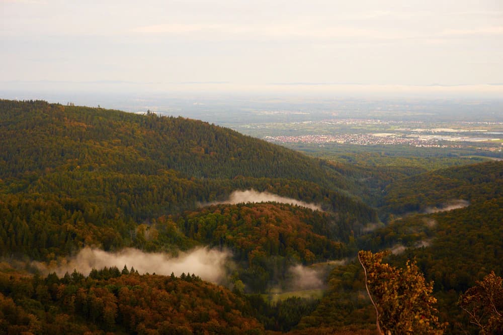 Hiking