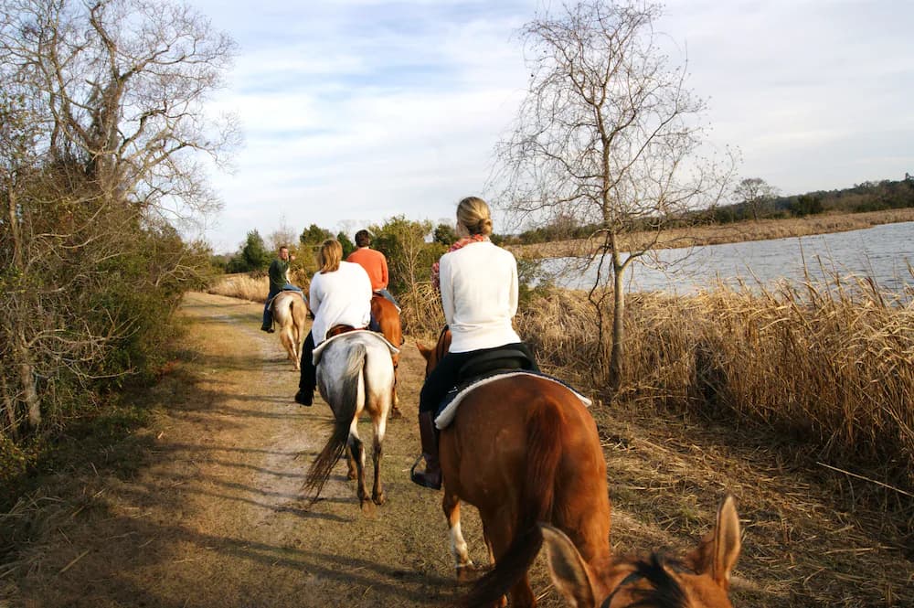 Horseback riding