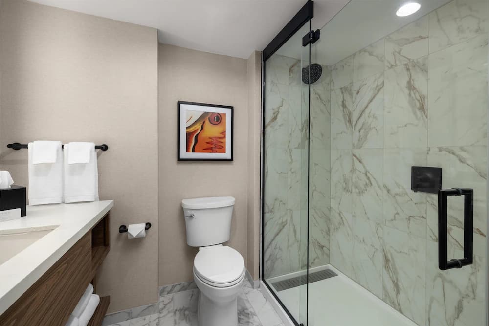 Bathroom shower