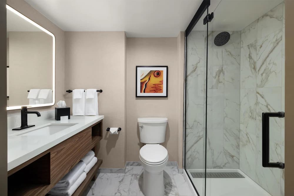 Bathroom shower