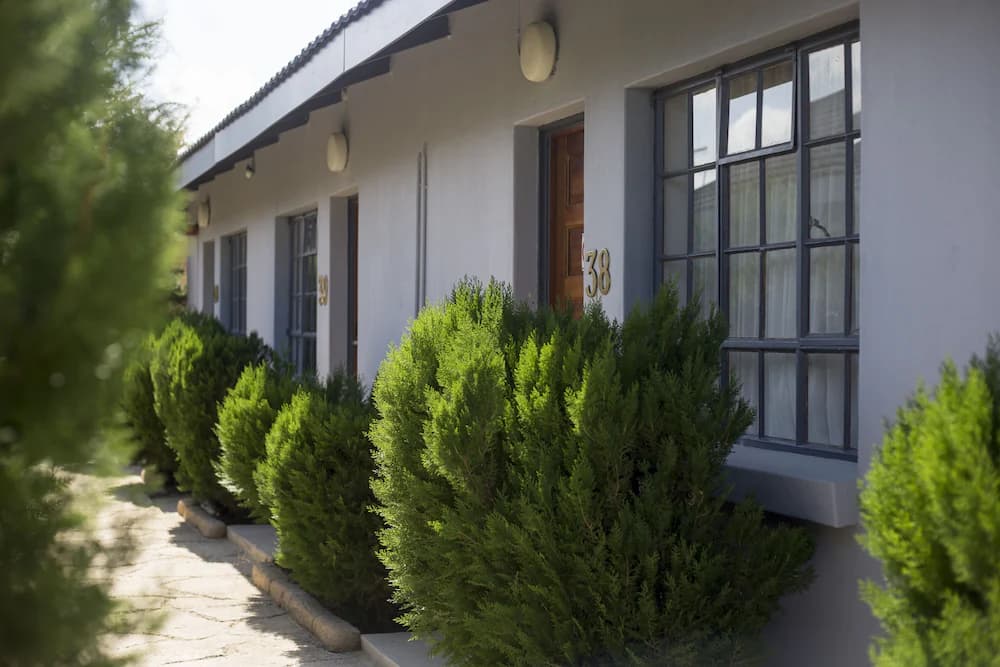 Garden view