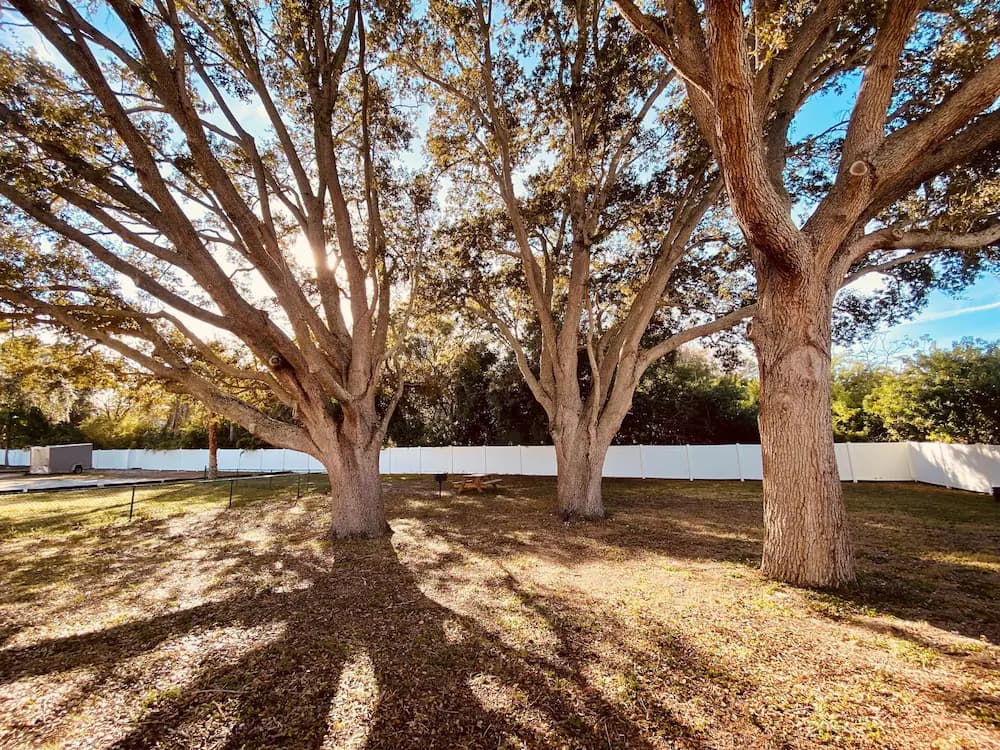 BBQ/picnic area