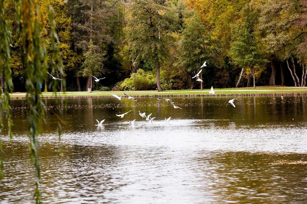 Lake