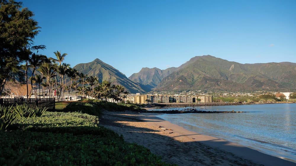 Beach/ocean view