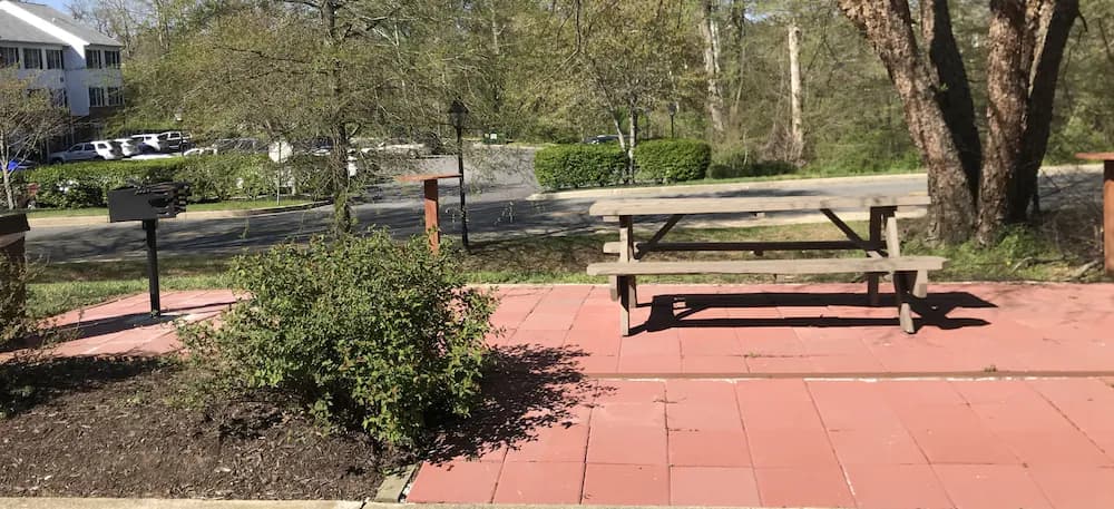 BBQ/picnic area