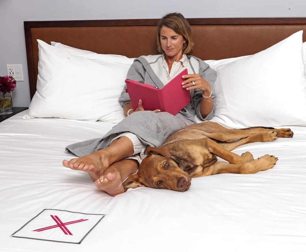 Pet-friendly