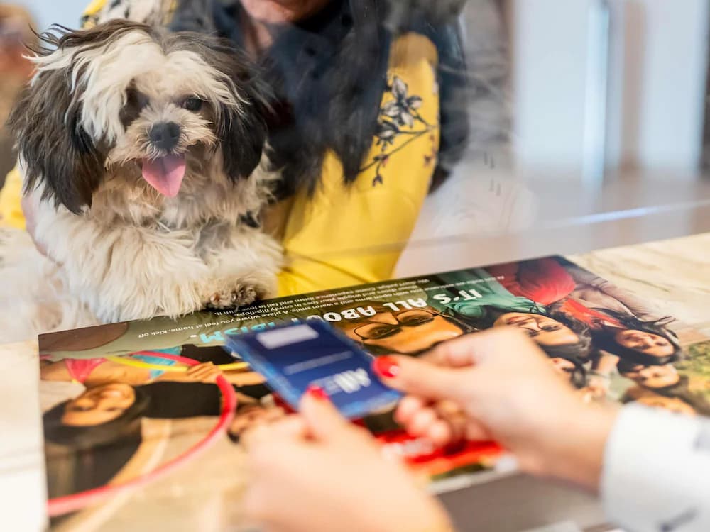 Pet-friendly