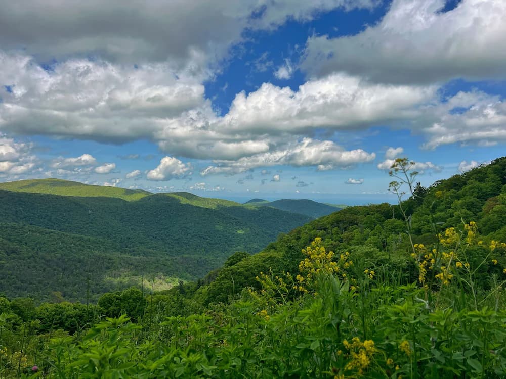Hiking