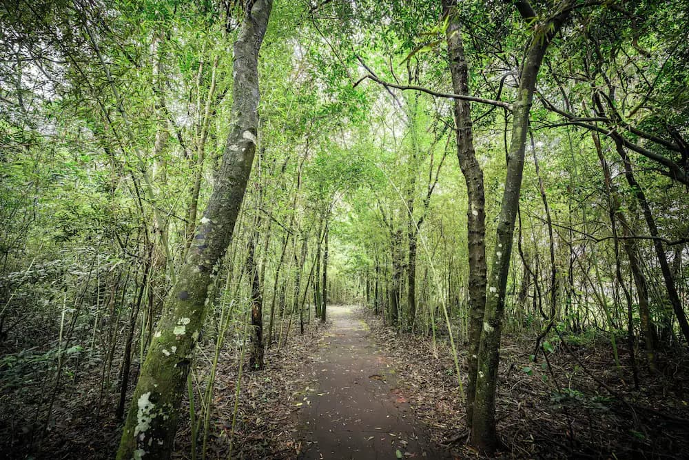 Hiking