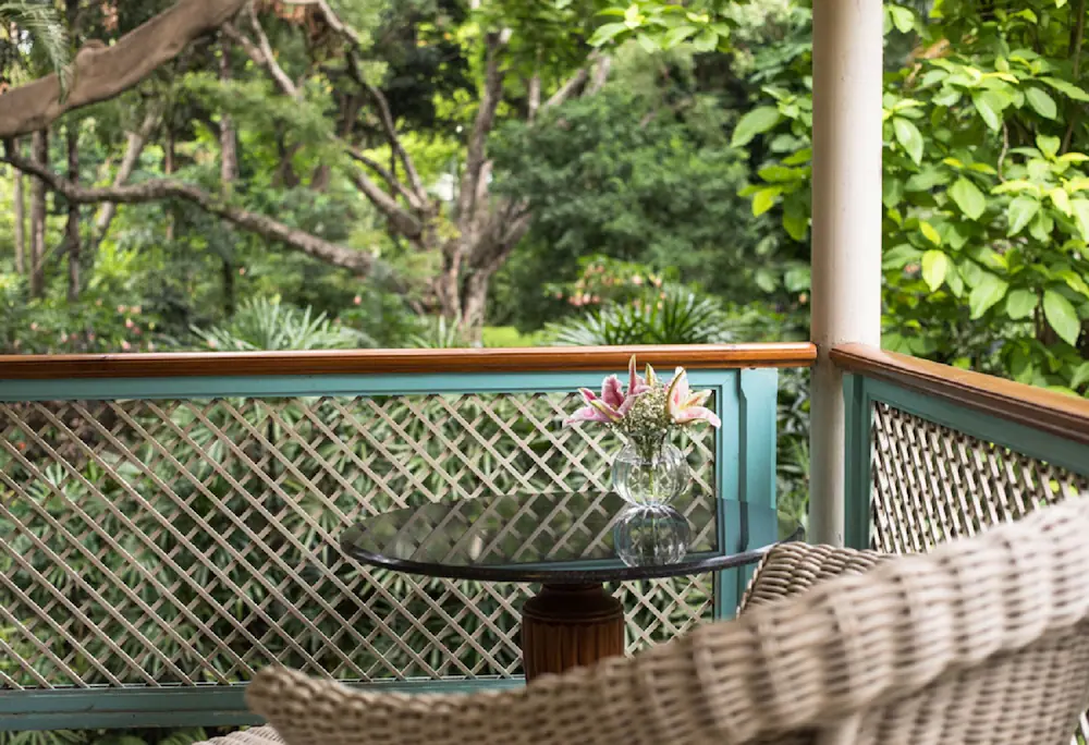 Garden view