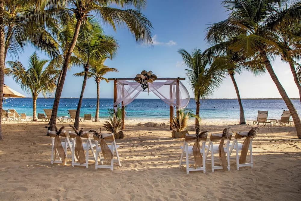 Outdoor wedding area