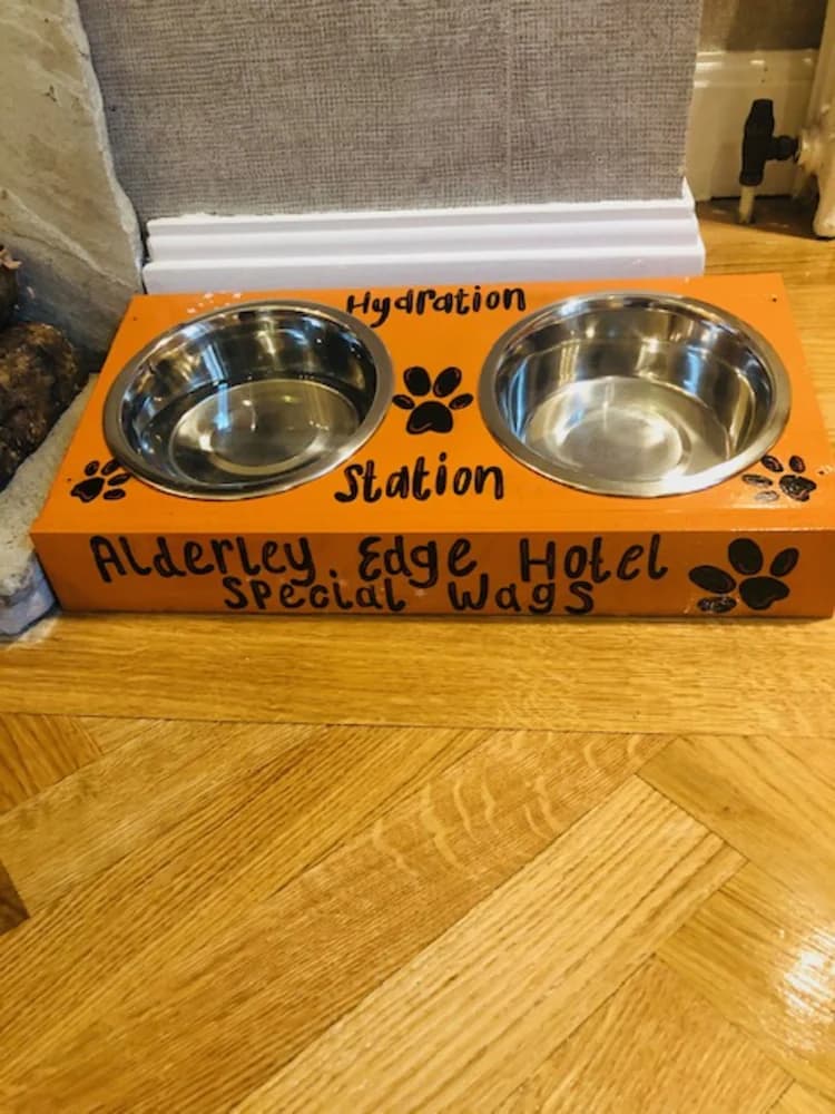 Pet-friendly