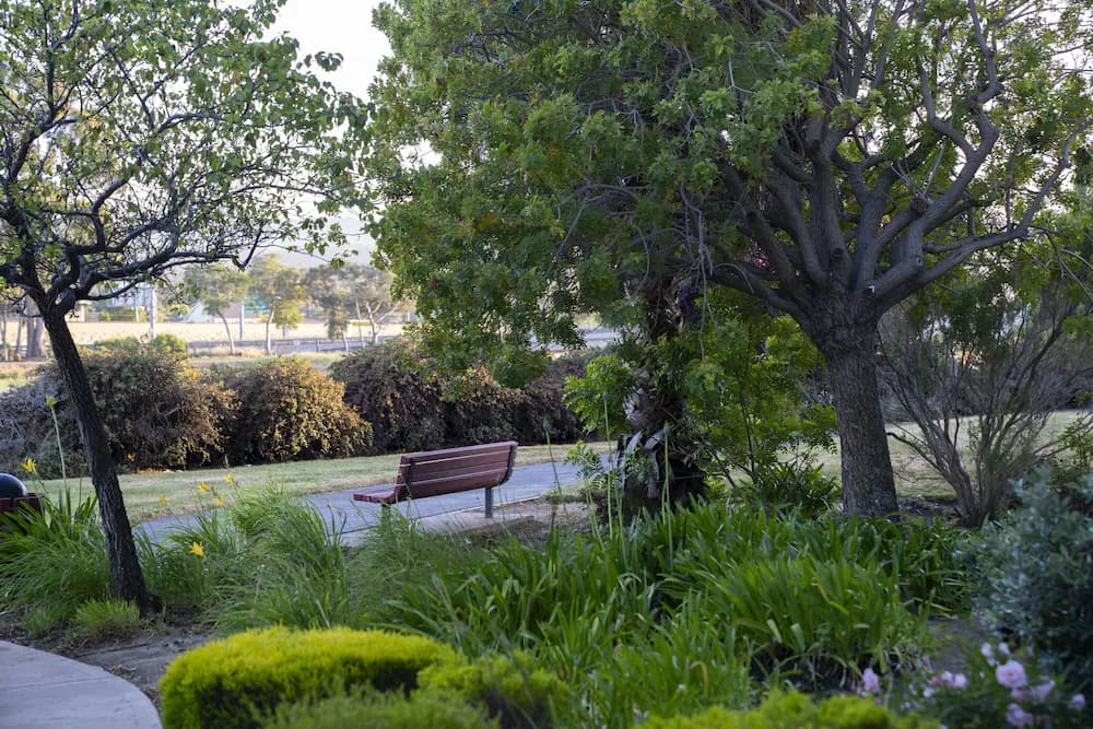 View from property