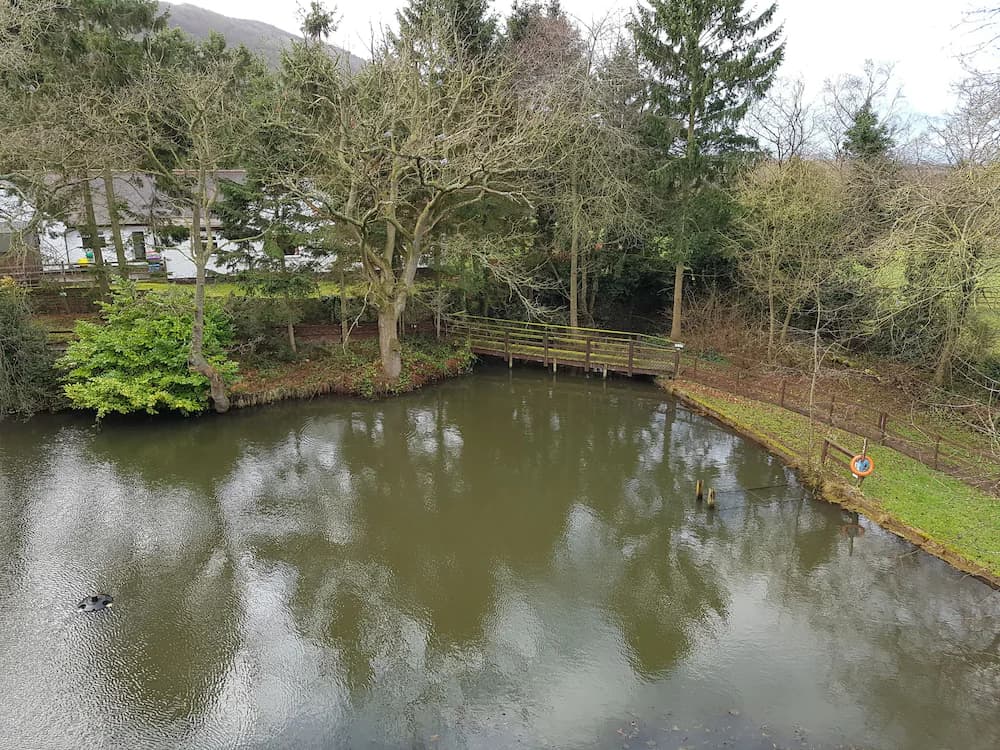View from room
