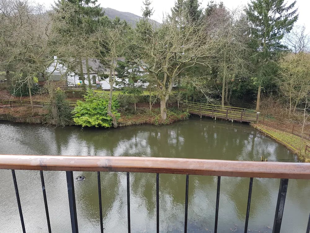 View from room