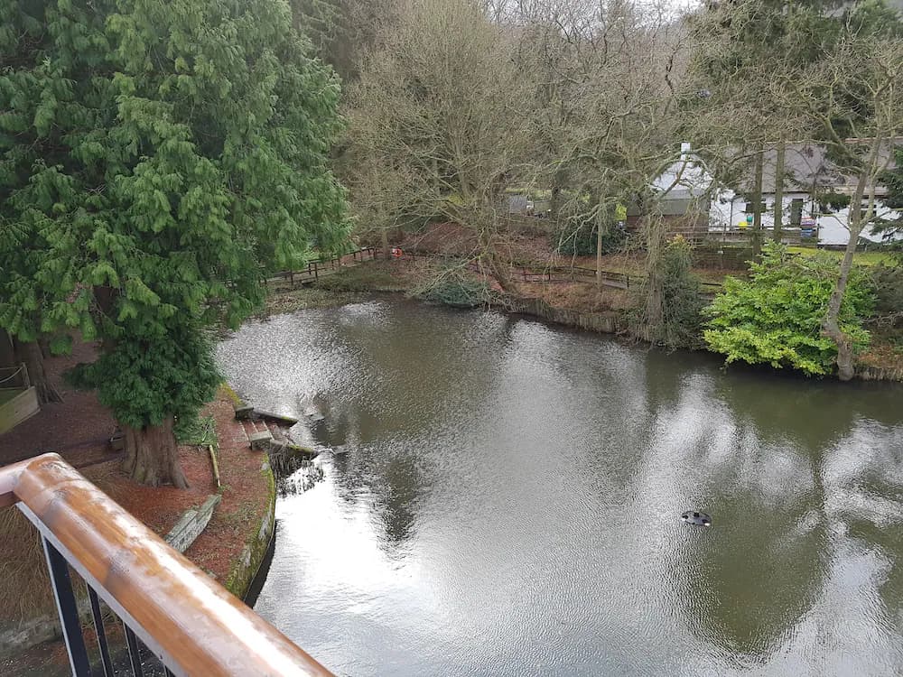 View from room