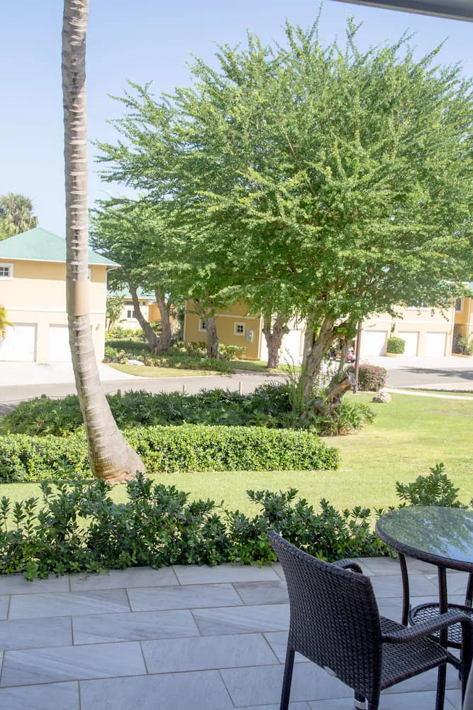 Garden view