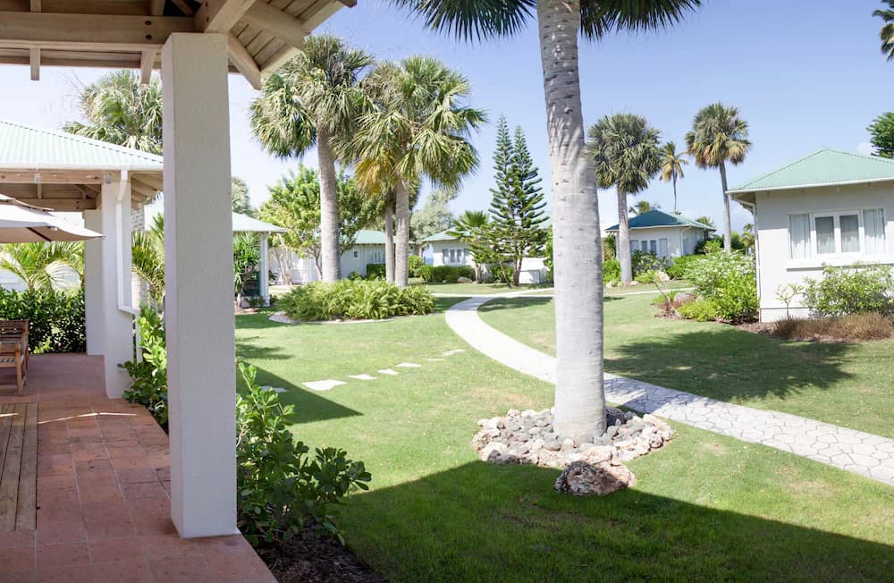 Garden view