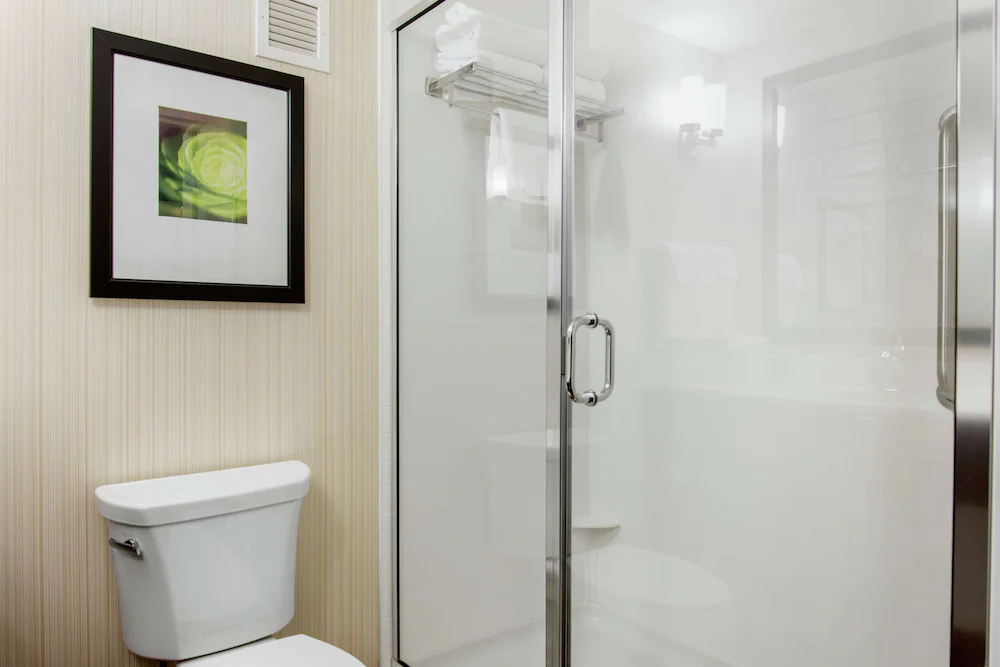 Bathroom shower