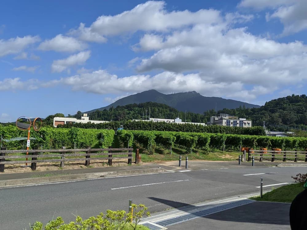 Winery