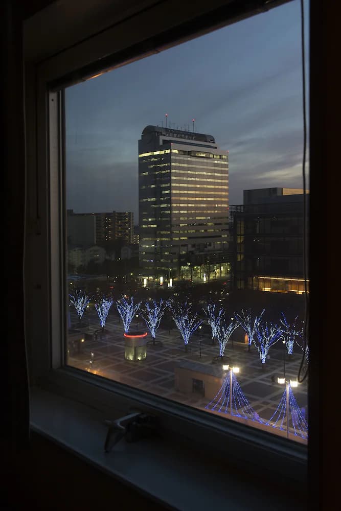 View from room