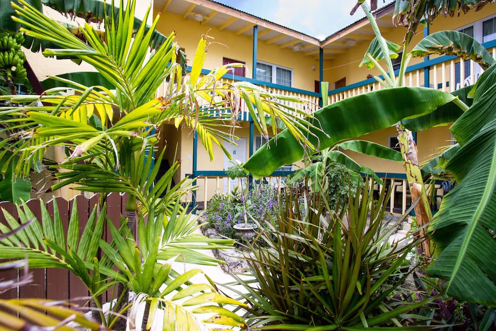Garden view