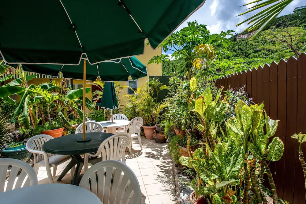 Garden view