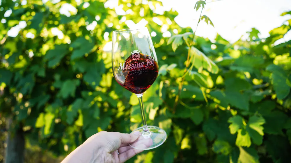 Winery