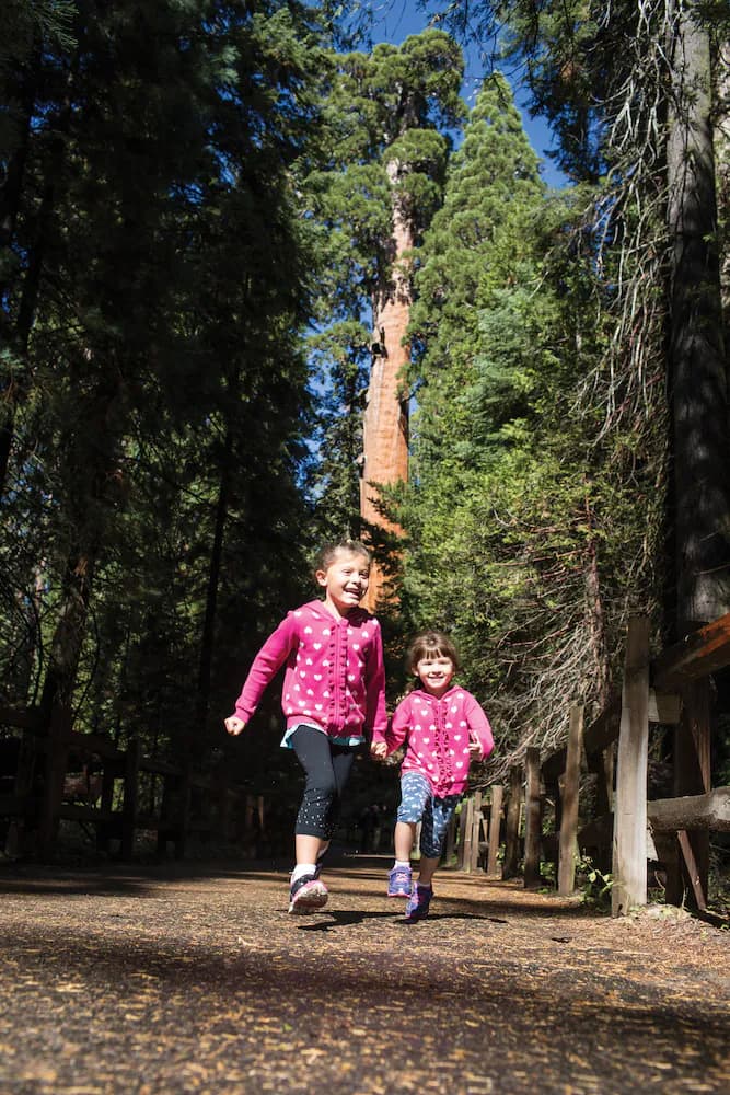 Children's activities