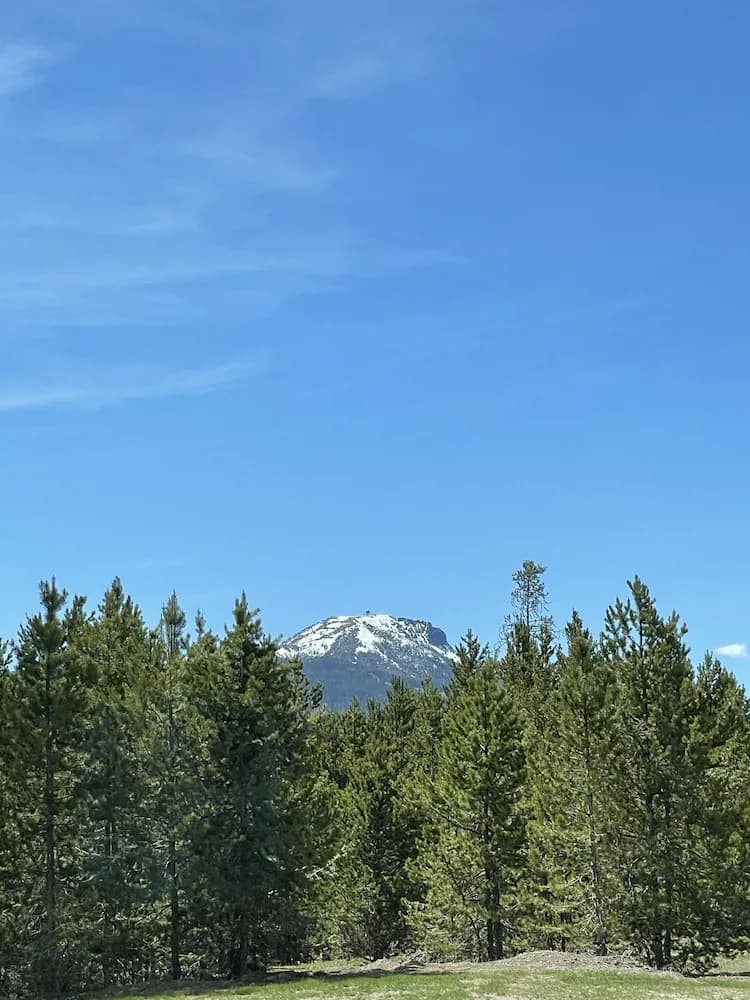 View from room