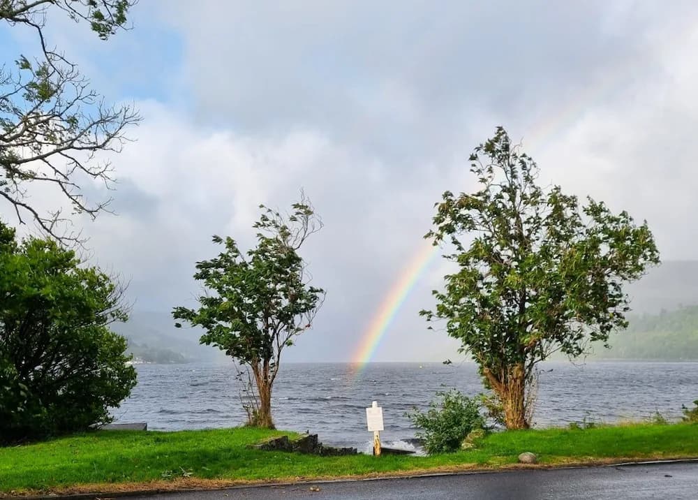 Lake view