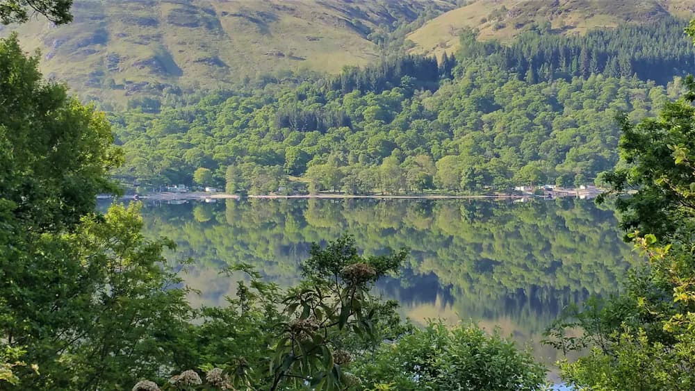 Lake view
