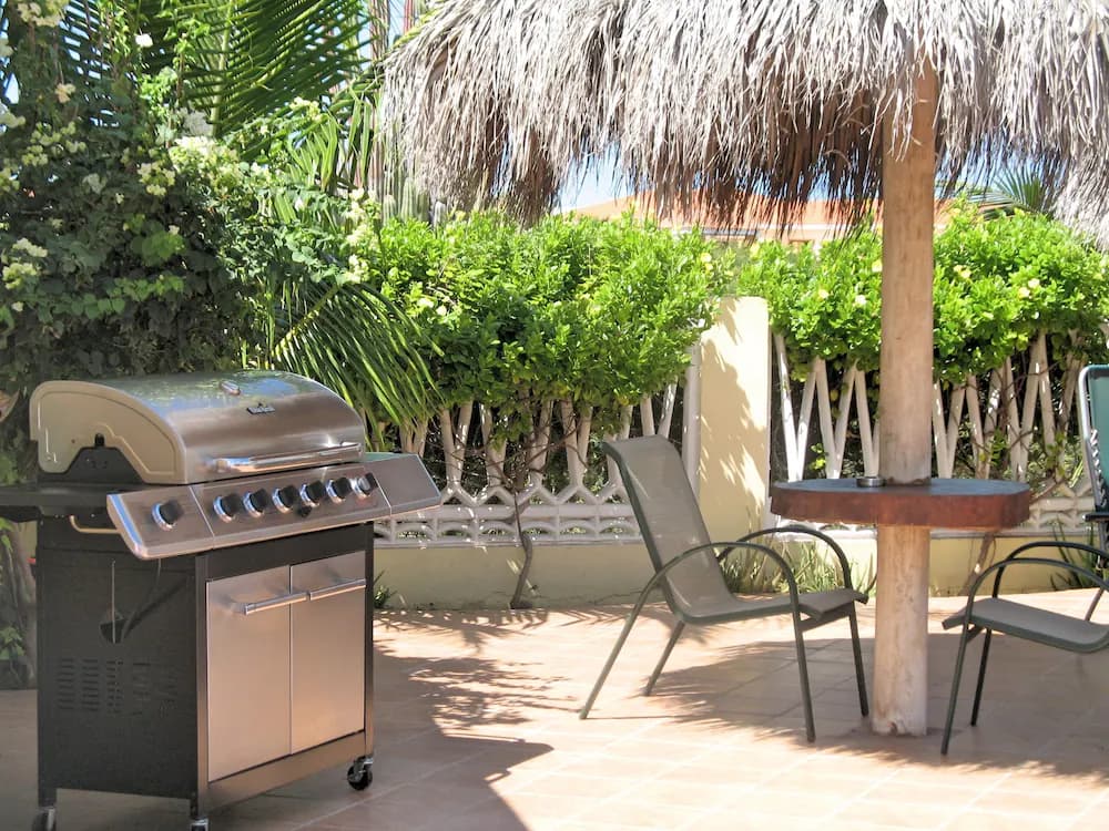 BBQ/picnic area