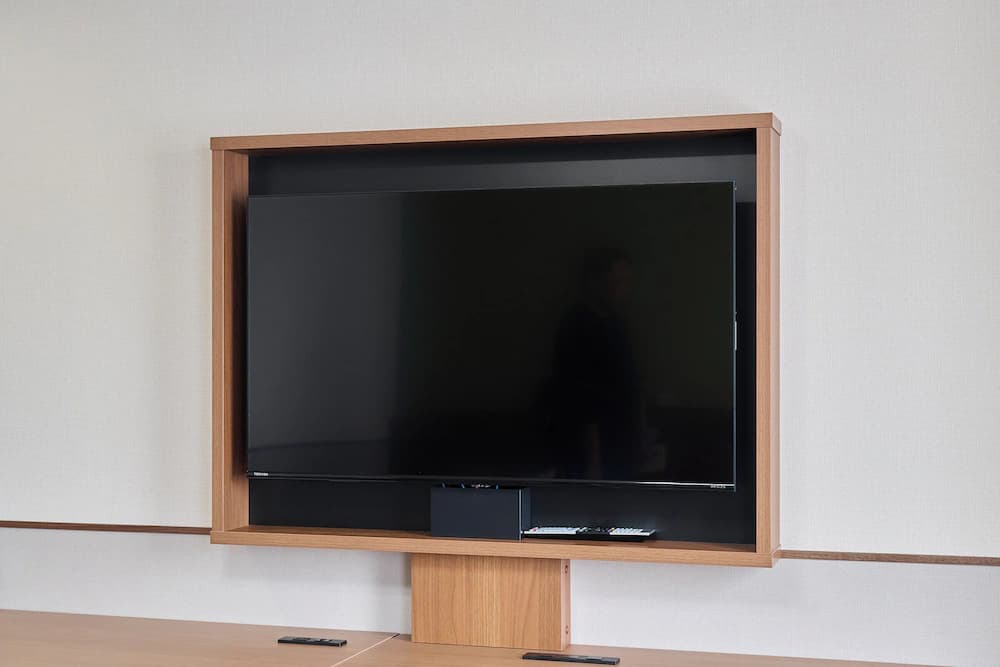 Television
