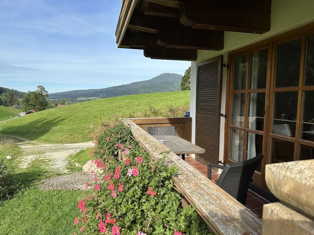 View from room