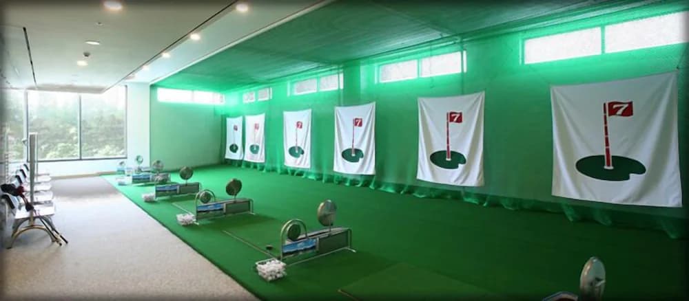 Indoor golf driving range