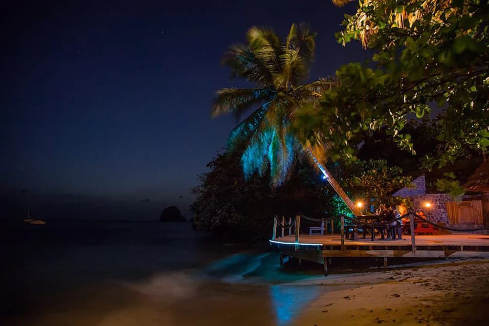 Beach bar