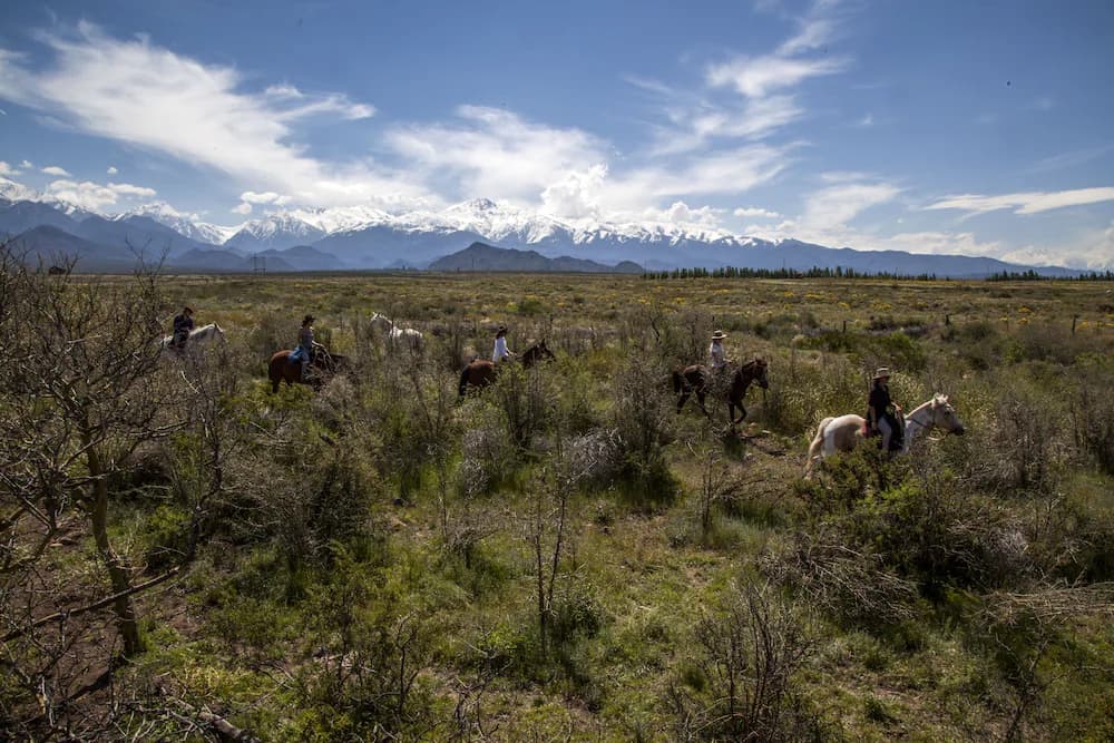 Horseback riding