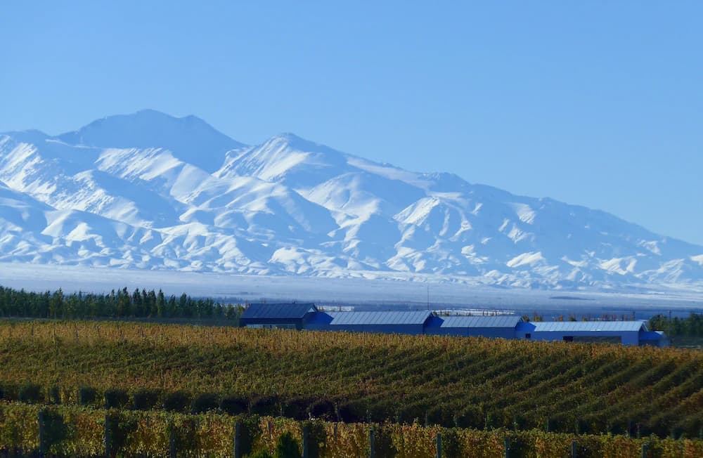 Winery