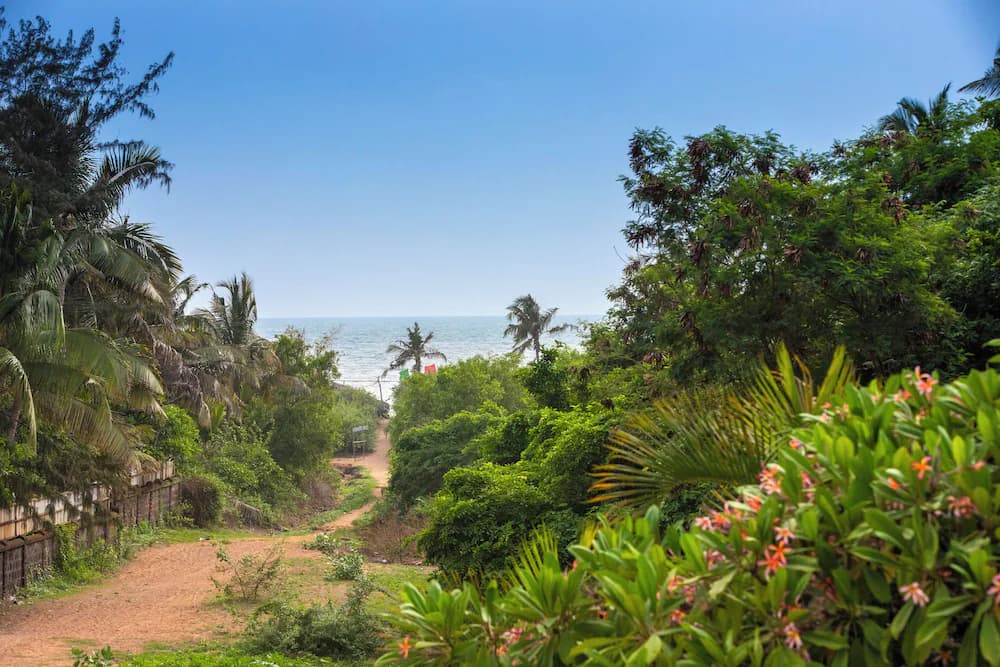 View from property