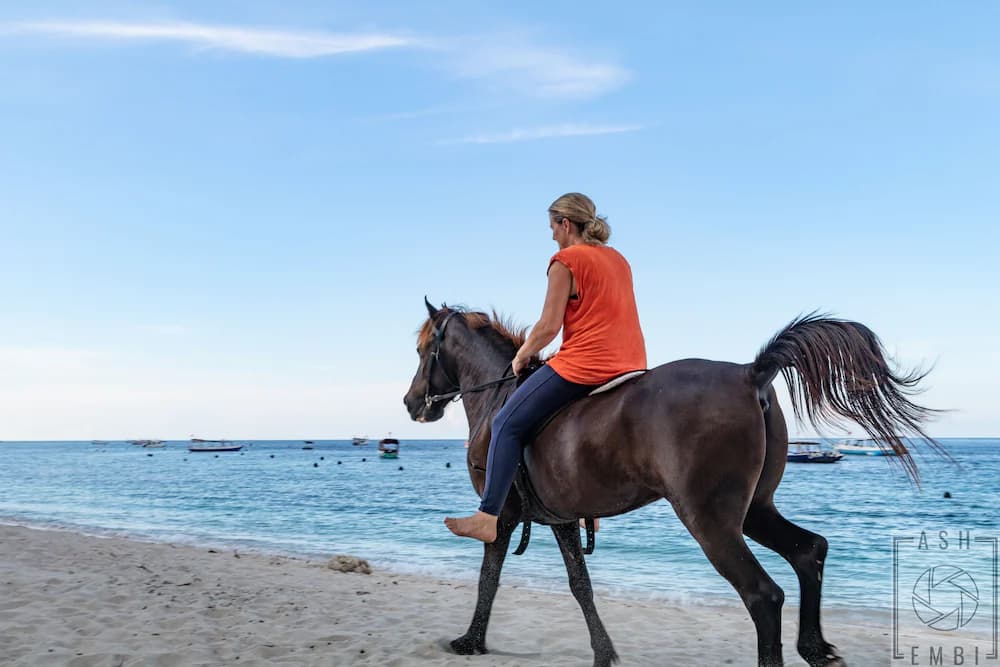 Horseback riding