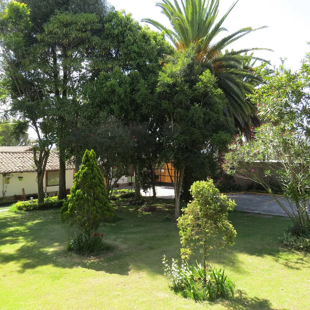 Garden view