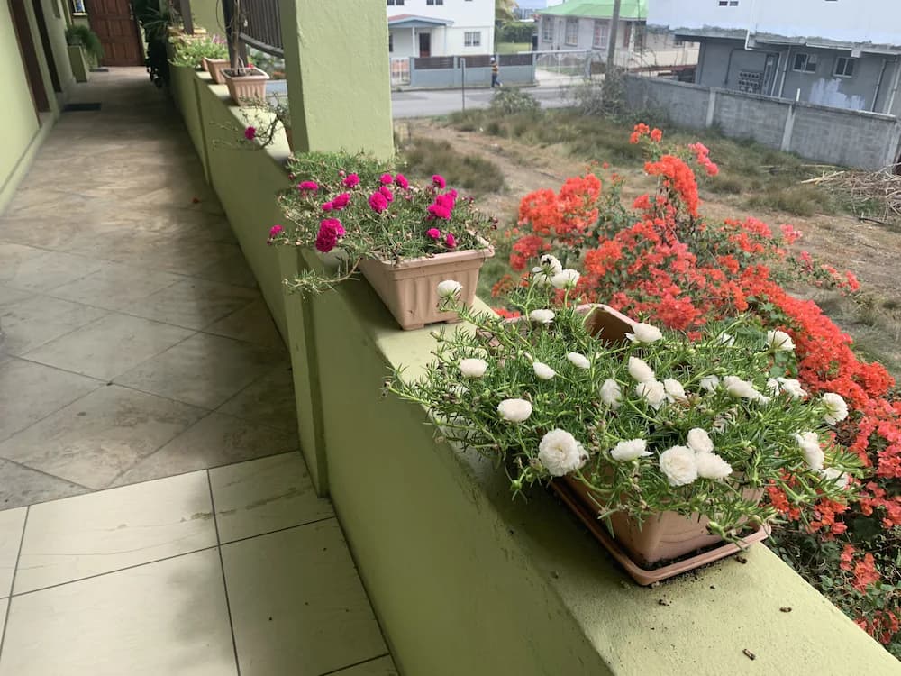 Porch