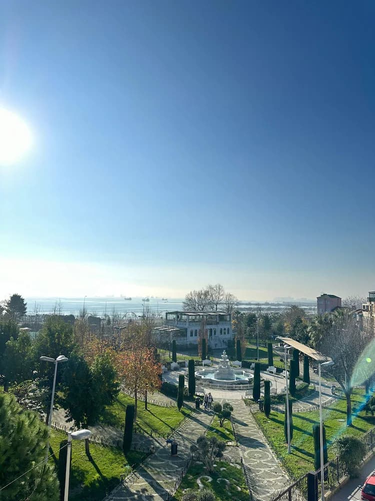 View from property