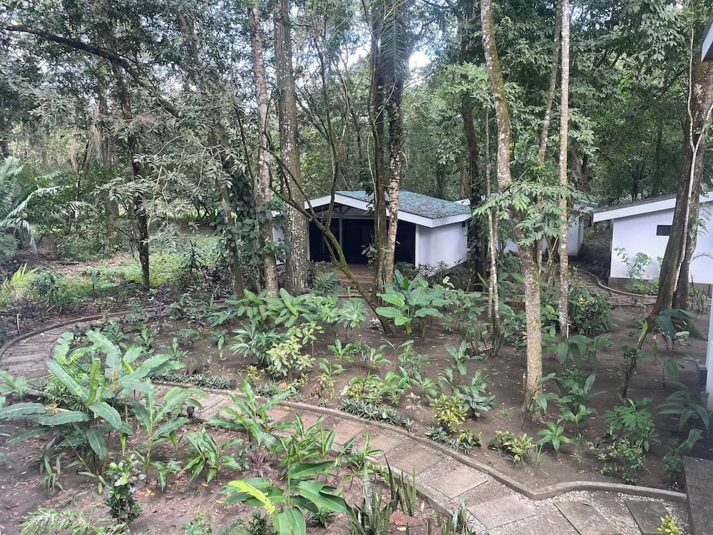 Garden view