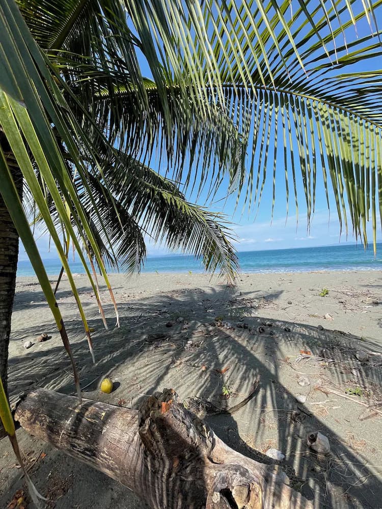 Beach