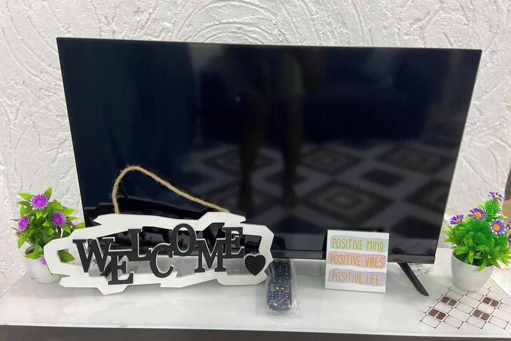 Television