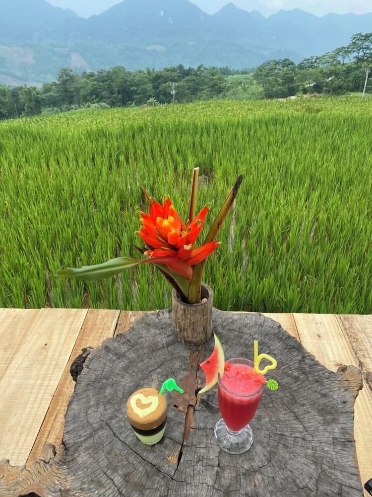 Food and drink